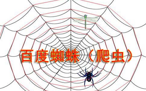 百度蜘蛛涉及到的網(wǎng)絡協(xié)議都有哪些